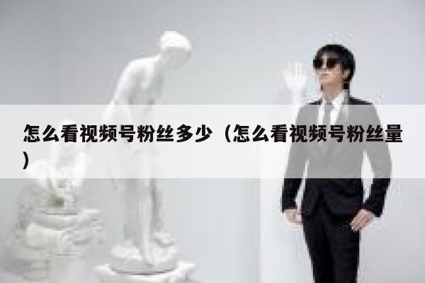 怎么看视频号粉丝多少（怎么看视频号粉丝量） 第1张