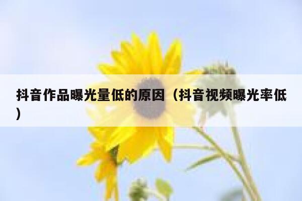 抖音作品曝光量低的原因(抖音视频曝光率低) 第1张 抖音作品曝光量低的原因(抖音视频曝光率低) 第1张