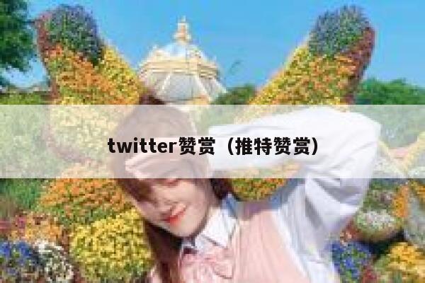 twitter赞赏(推特赞赏) 第1张 twitter赞赏(推特赞赏) 第1张