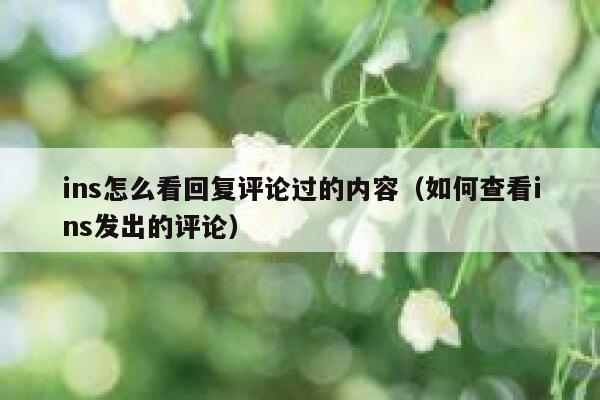 ins怎么看回复评论过的内容（如何查看ins发出的评论） 第1张