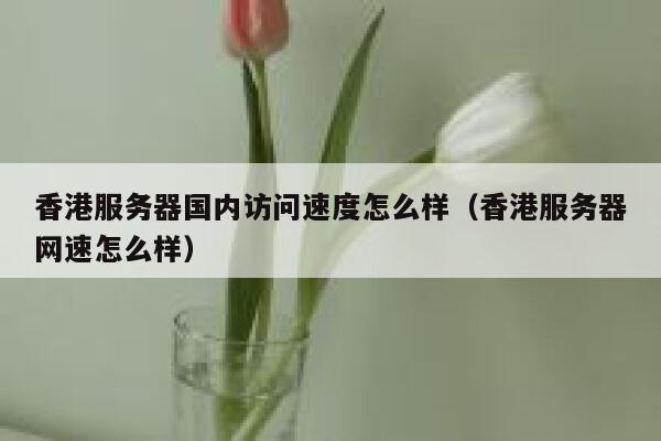 香港服务器国内访问速度怎么样（香港服务器网速怎么样） 第1张