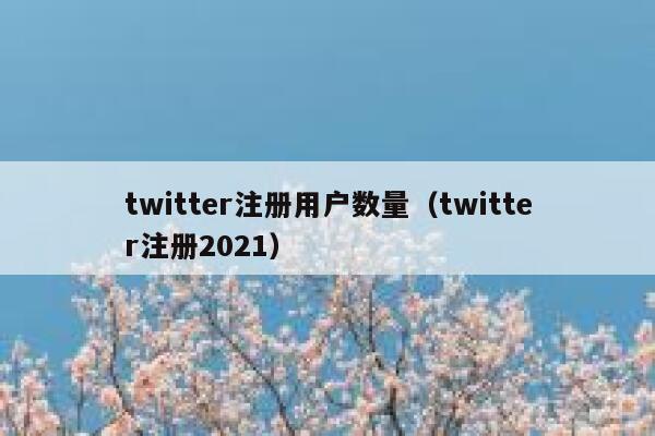 twitter注册用户数量（twitter注册2021） 第1张