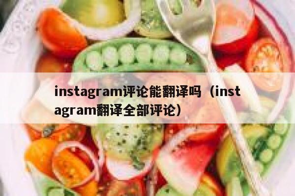 instagram评论能翻译吗（instagram翻译全部评论） 第1张