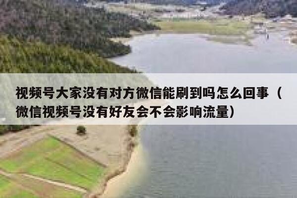 视频号大家没有对方微信能刷到吗怎么回事（微信视频号没有好友会不会影响流量） 第1张