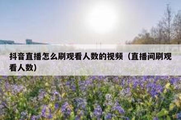 抖音直播怎么刷观看人数的视频（直播间刷观看人数） 第1张