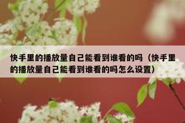 快手里的播放量自己能看到谁看的吗(快手里的播放量自己能看到谁看的吗怎么设置) 第1张 快手里的播放量自己能看到谁看的吗(快手里的播放量自己能看到谁看的吗怎么设置) 第1张