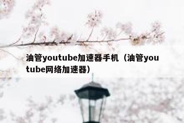油管youtube加速器手机（油管youtube网络加速器） 第1张