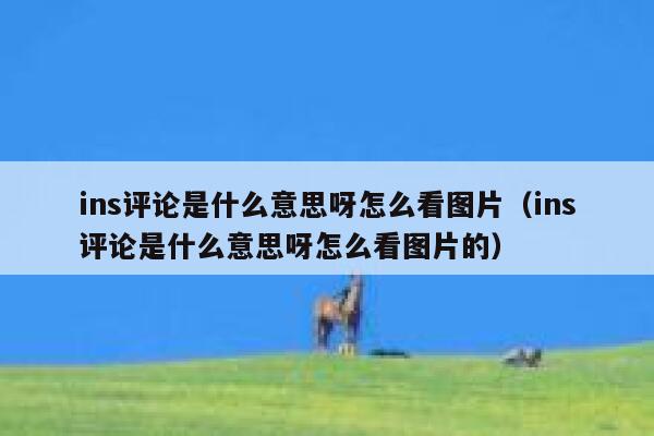 ins评论是什么意思呀怎么看图片（ins评论是什么意思呀怎么看图片的） 第1张