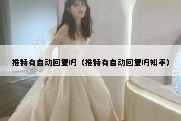 推特有自动回复吗（推特有自动回复吗知乎） 第1张