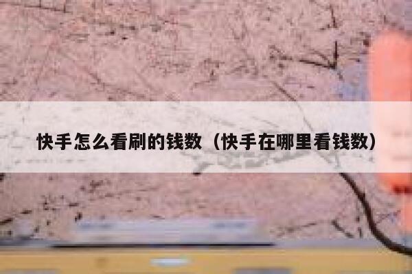 快手怎么看刷的钱数（快手在哪里看钱数） 第1张