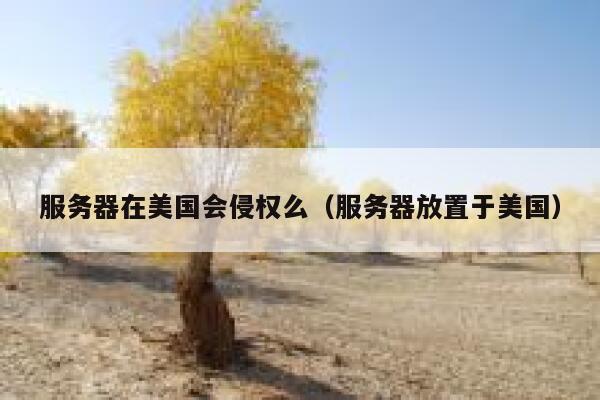 服务器在美国会侵权么(服务器放置于美国) 第1张 服务器在美国会侵权么(服务器放置于美国) 第1张