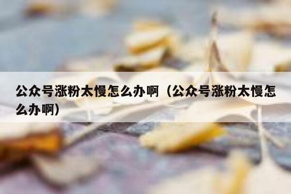 公众号涨粉太慢怎么办啊（公众号涨粉太慢怎么办啊） 第1张