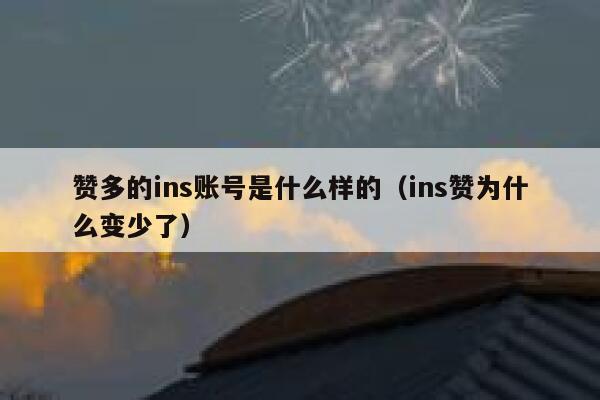 赞多的ins账号是什么样的（ins赞为什么变少了） 第1张