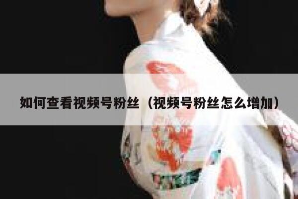 如何查看视频号粉丝（视频号粉丝怎么增加） 第1张