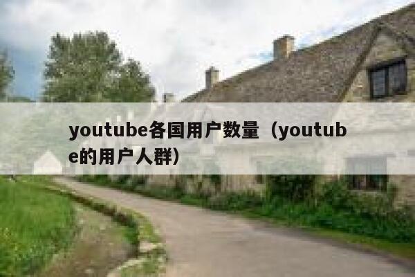 youtube各国用户数量(youtube的用户人群) 第1张 youtube各国用户数量(youtube的用户人群) 第1张