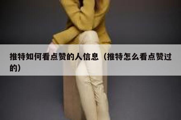 推特如何看点赞的人信息（推特怎么看点赞过的） 第1张