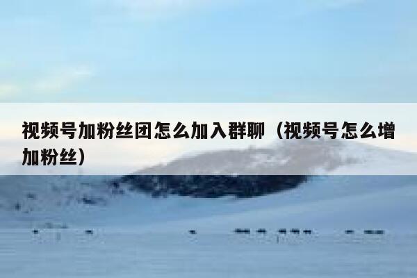 视频号加粉丝团怎么加入群聊（视频号怎么增加粉丝） 第1张