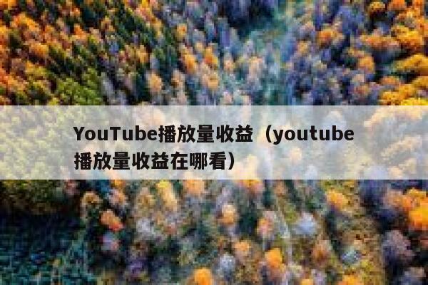YouTube播放量收益（youtube播放量收益在哪看） 第1张
