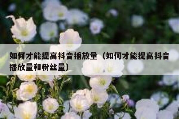 如何才能提高抖音播放量（如何才能提高抖音播放量和粉丝量） 第1张