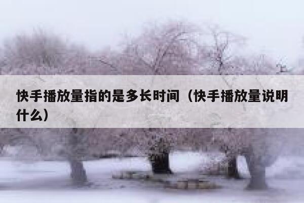 快手播放量指的是多长时间（快手播放量说明什么） 第1张