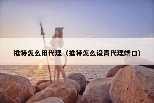 推特怎么用代理（推特怎么设置代理端口） 第1张