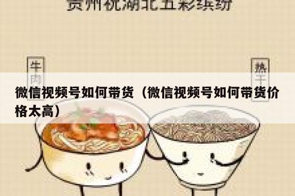 微信视频号如何带货（微信视频号如何带货价格太高） 第1张