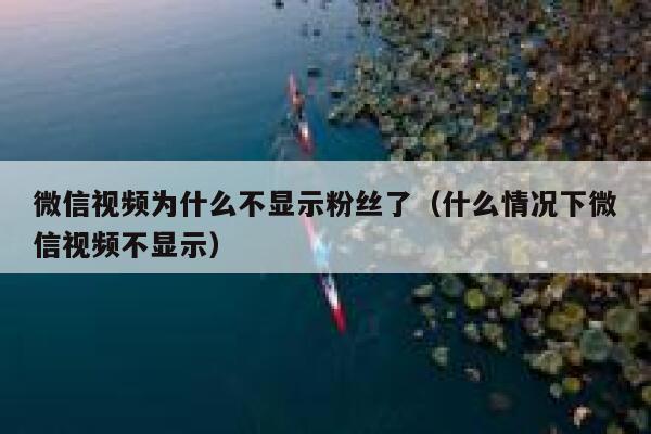 微信视频为什么不显示粉丝了(什么情况下微信视频不显示) 第1张 微信视频为什么不显示粉丝了(什么情况下微信视频不显示) 第1张
