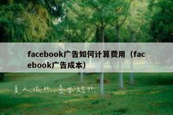 facebook广告如何计算费用（facebook广告成本） 第1张