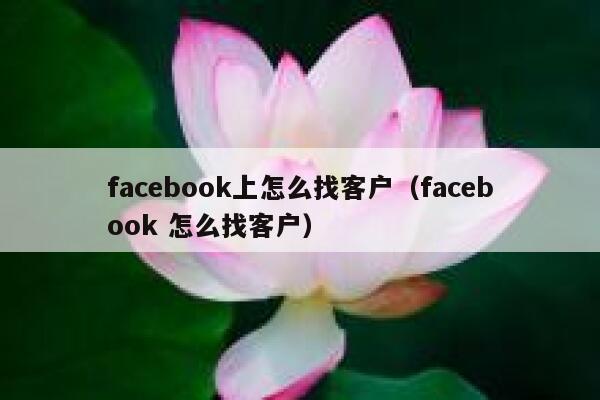 facebook上怎么找客户（facebook 怎么找客户） 第1张