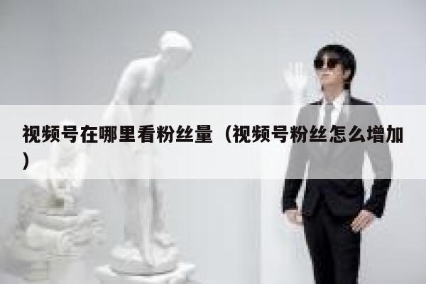 视频号在哪里看粉丝量（视频号粉丝怎么增加） 第1张