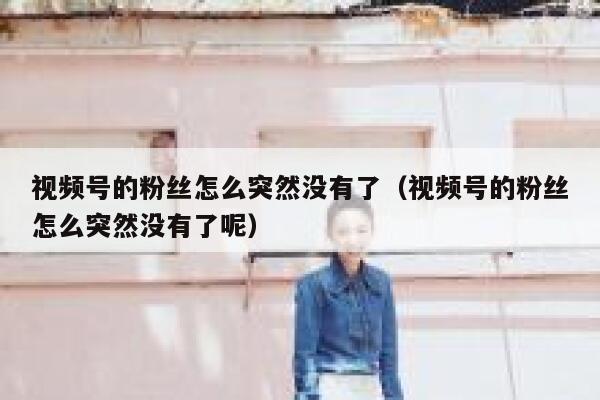视频号的粉丝怎么突然没有了（视频号的粉丝怎么突然没有了呢） 第1张