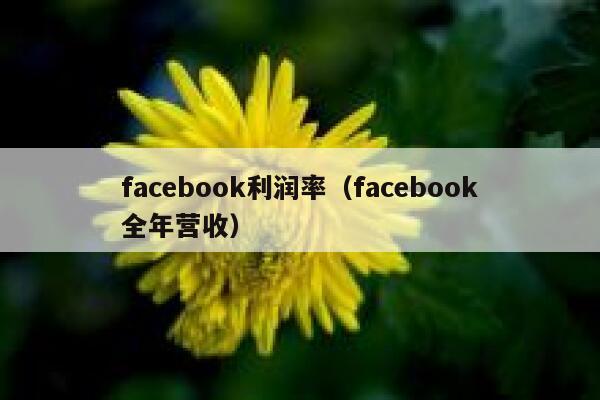 facebook利润率（facebook全年营收） 第1张