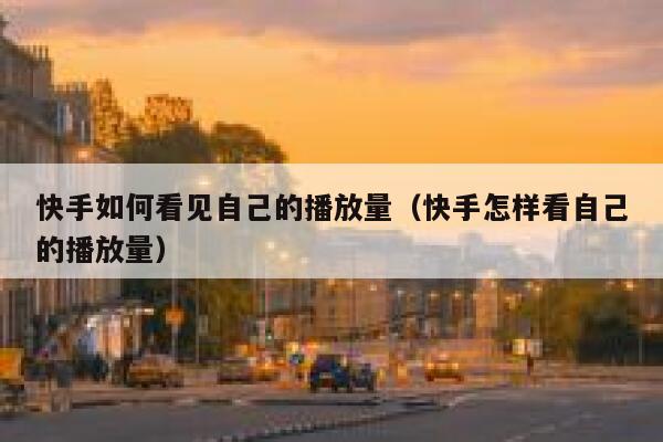 快手如何看见自己的播放量（快手怎样看自己的播放量） 第1张