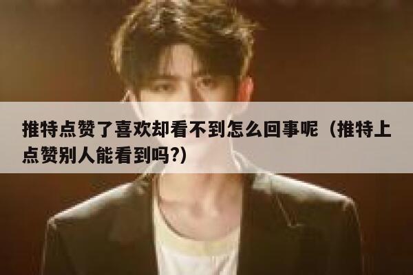 推特点赞了喜欢却看不到怎么回事呢（推特上点赞别人能看到吗?） 第1张