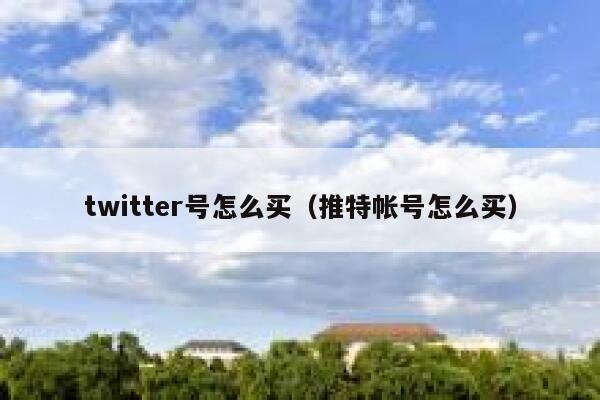 twitter号怎么买(推特帐号怎么买) 第1张 twitter号怎么买(推特帐号怎么买) 第1张