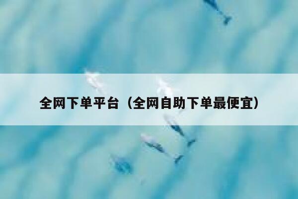 全网下单平台（全网自助下单最便宜） 第1张