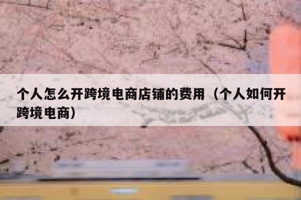 个人怎么开跨境电商店铺的费用（个人如何开跨境电商） 第1张