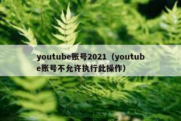 youtube账号2021（youtube账号不允许执行此操作） 第1张