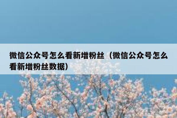 微信公众号怎么看新增粉丝（微信公众号怎么看新增粉丝数据） 第1张