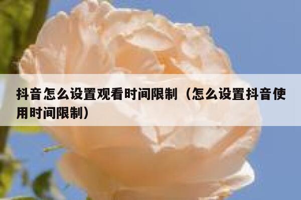 抖音怎么设置观看时间限制（怎么设置抖音使用时间限制） 第1张