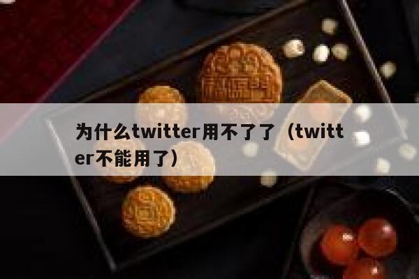 为什么twitter用不了了(twitter不能用了) 第1张 为什么twitter用不了了(twitter不能用了) 第1张