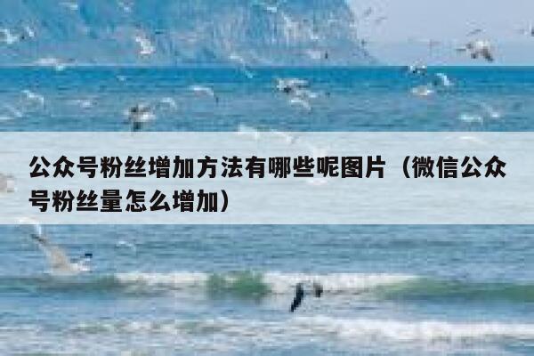 公众号粉丝增加方法有哪些呢图片(微信公众号粉丝量怎么增加) 第1张 公众号粉丝增加方法有哪些呢图片(微信公众号粉丝量怎么增加) 第1张