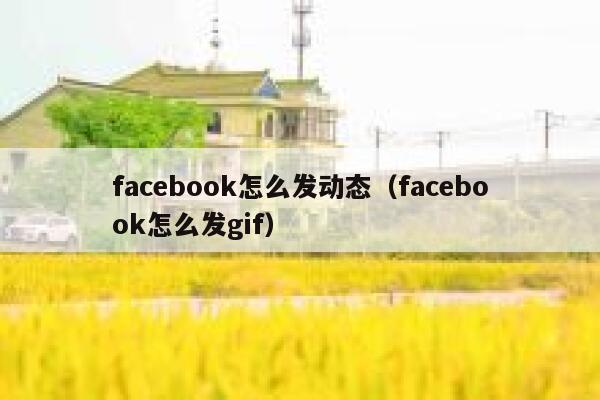 facebook怎么发动态（facebook怎么发gif） 第1张