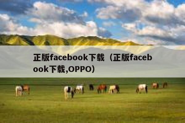 正版facebook下载（正版facebook下载,OPPO） 第1张