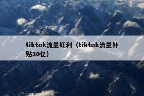 tiktok流量红利（tiktok流量补贴20亿） 第1张