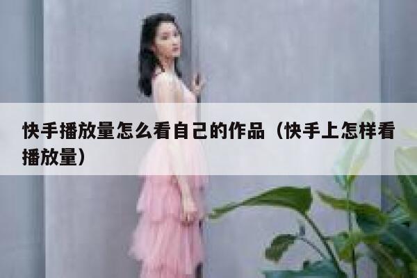 快手播放量怎么看自己的作品（快手上怎样看播放量） 第1张