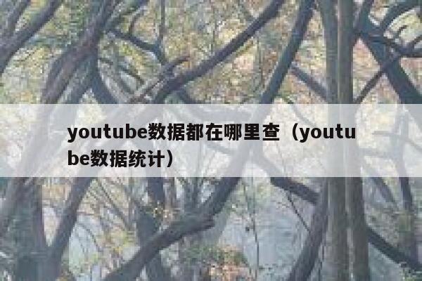 youtube数据都在哪里查(youtube数据统计) 第1张 youtube数据都在哪里查(youtube数据统计) 第1张