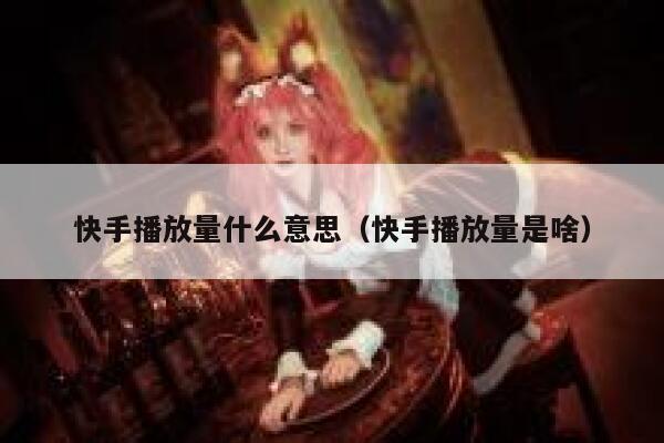 快手播放量什么意思（快手播放量是啥） 第1张