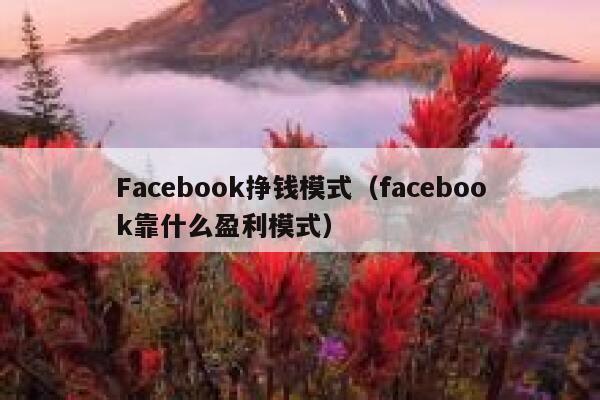 Facebook挣钱模式（facebook靠什么盈利模式） 第1张