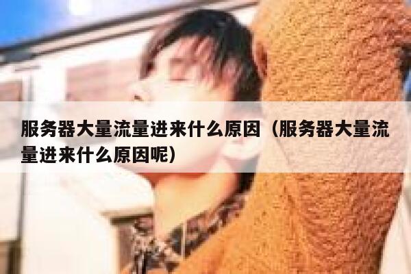 服务器大量流量进来什么原因（服务器大量流量进来什么原因呢） 第1张